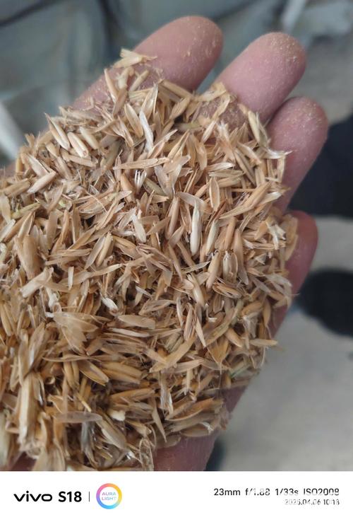 燕麥殼批發市場深度解析 惠農網500元/噸報價背后的產業機遇