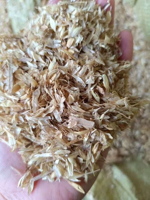 廣州白云區麥殼資源化利用現狀與市場分析