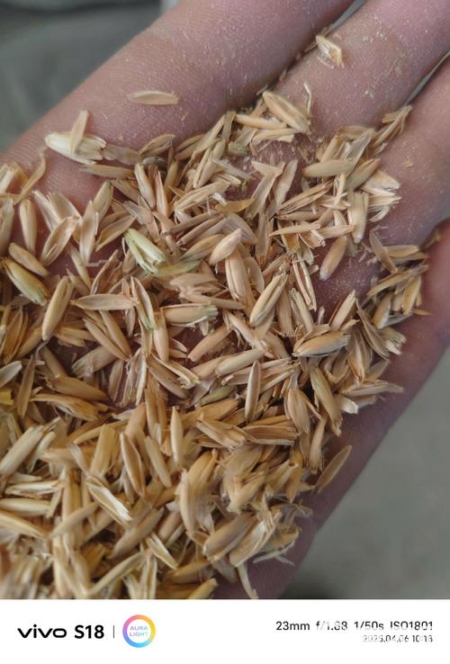 燕麥殼批發價格500元/噸 惠農網與麥殼網絡渠道分析